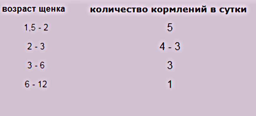 Количество кормлений щенка по месяцам таблица Помощь РОТВЕЙЛЕРАМ и не только ( НОЯБРЬ 2016) обсуждение на форуме