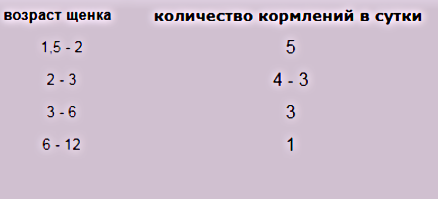 Таблица частоты кормления щенков хаски