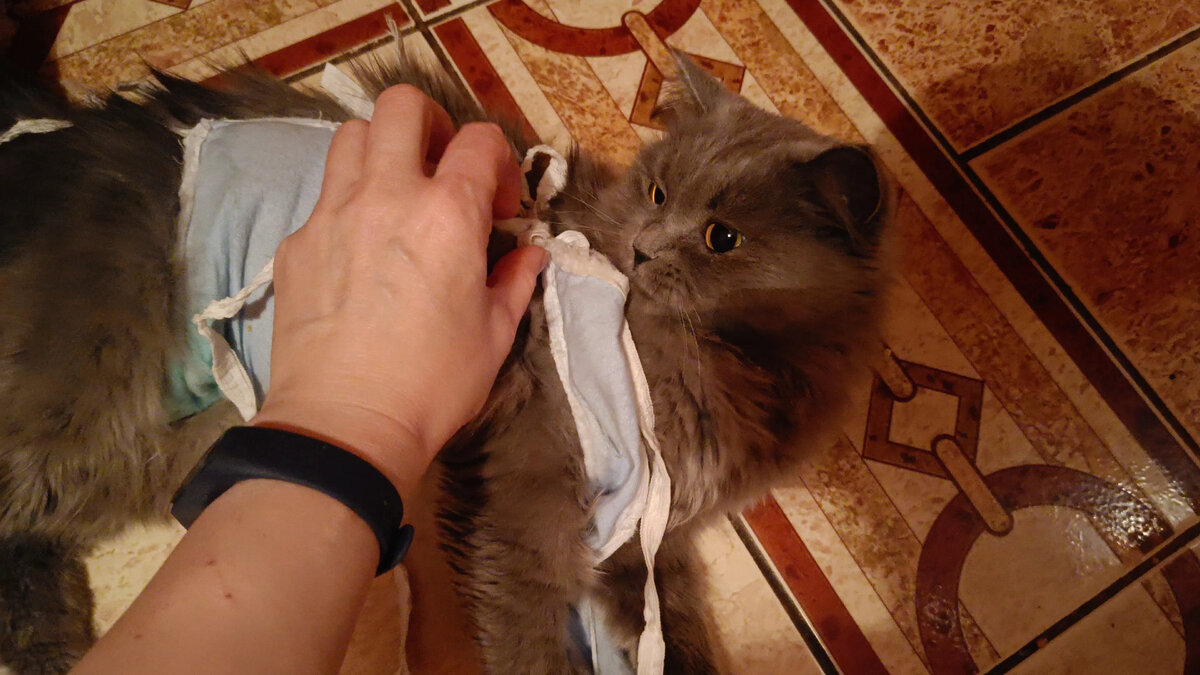 Ура, освобождение близко!