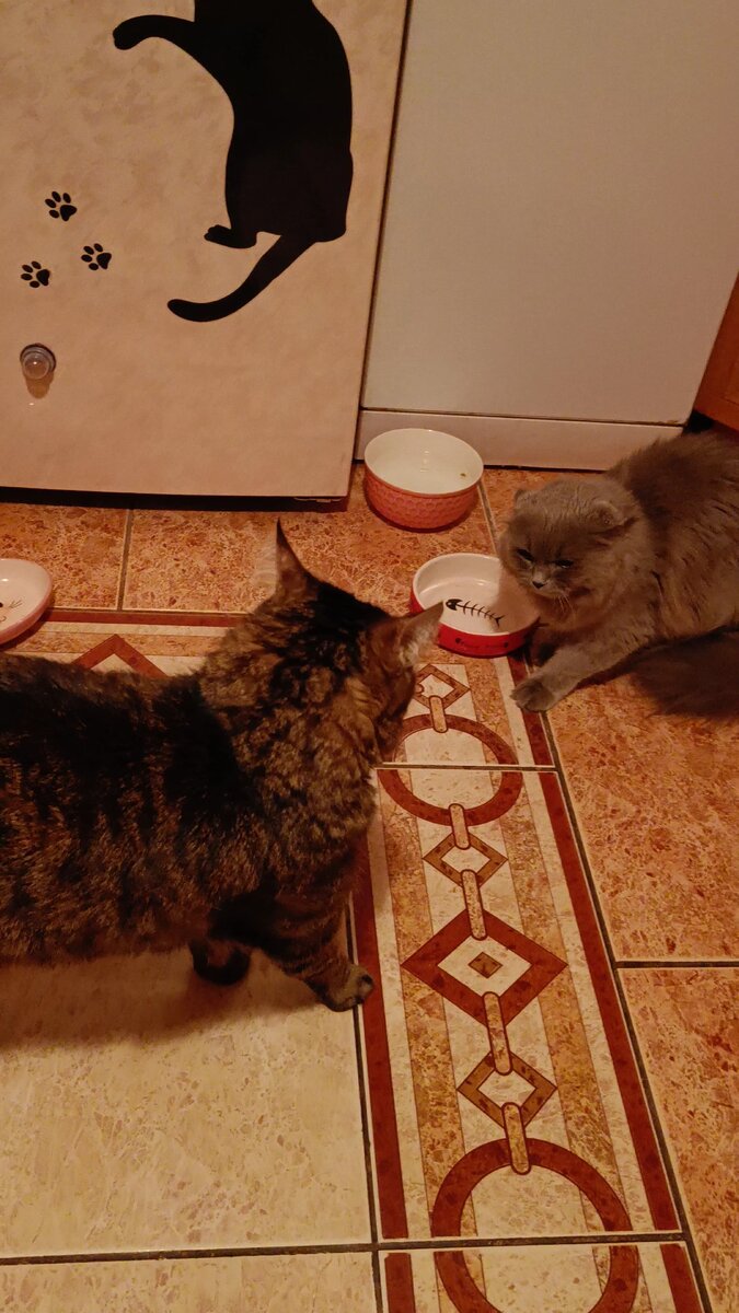 Масик проводит воспитательную работу