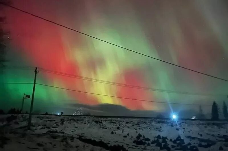    Изображение Соцсети 