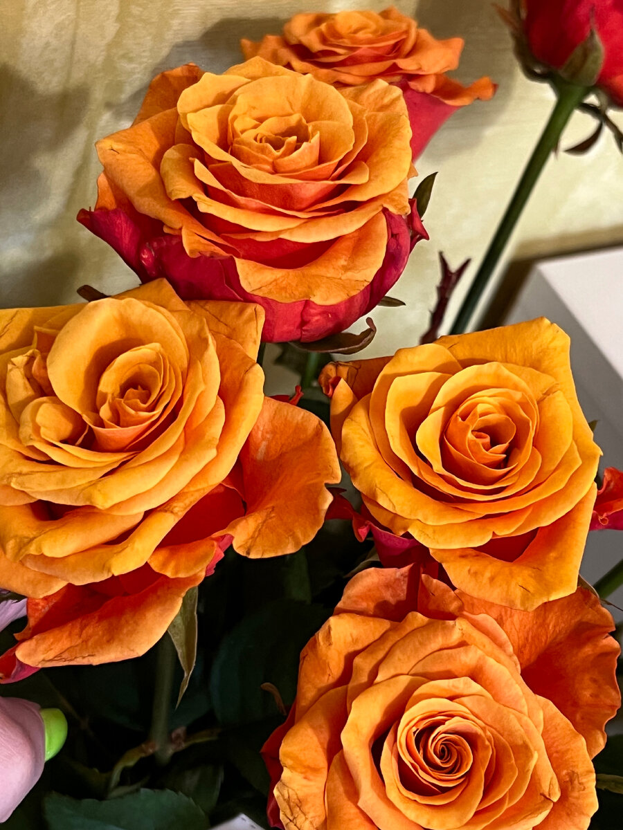 Очень необычно красивые