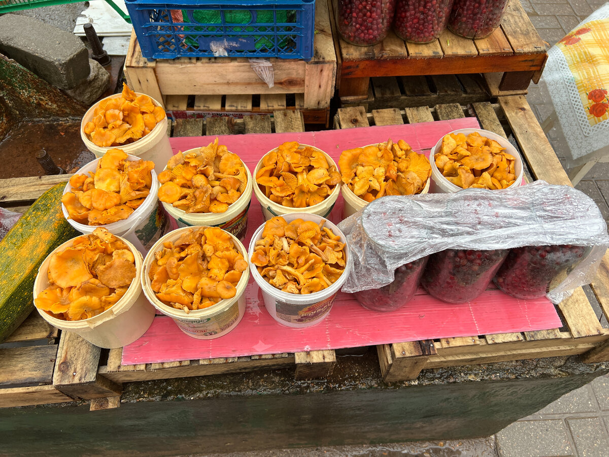 Фото автора. 06.11.2023