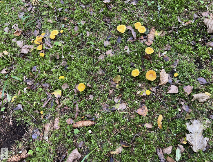 Фото автора.14.10.2023