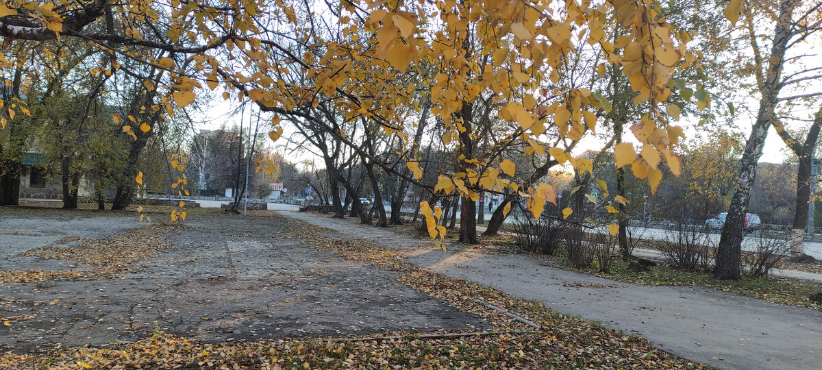 Фото автора 