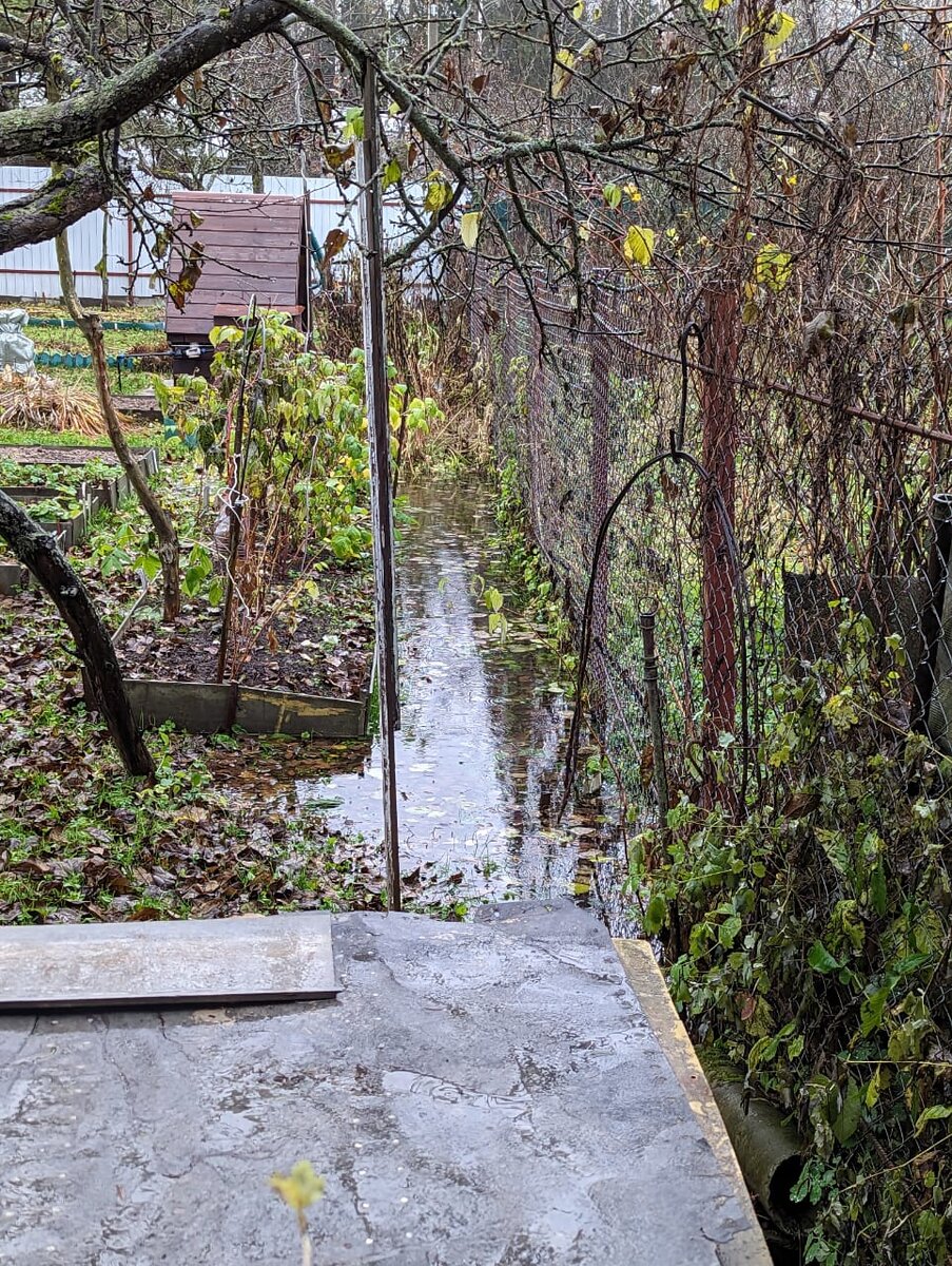 Это у соседей. 