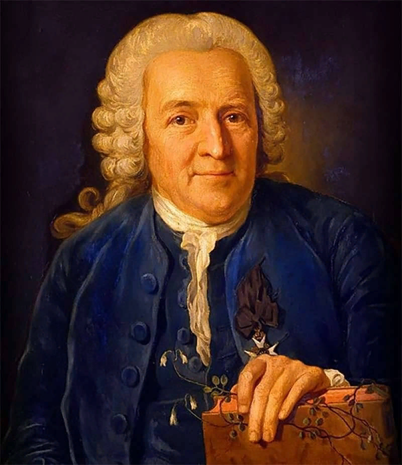 Карл Линней, который грибы отнес к растениям