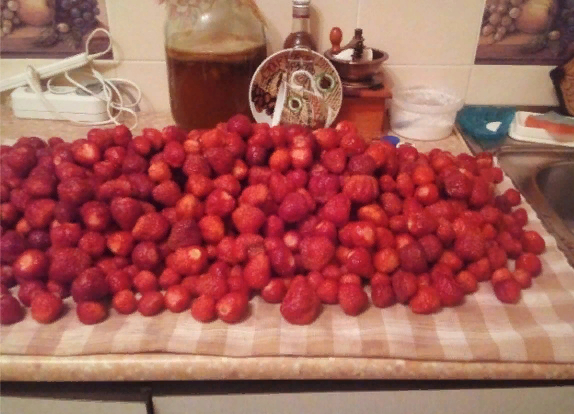 Фото урожая клубники 2020 года на кухонном столе моей сестры Ерохиной Наталии Алексеевны.