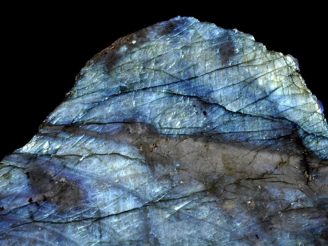 Лабрадор. Фото из открытых источников