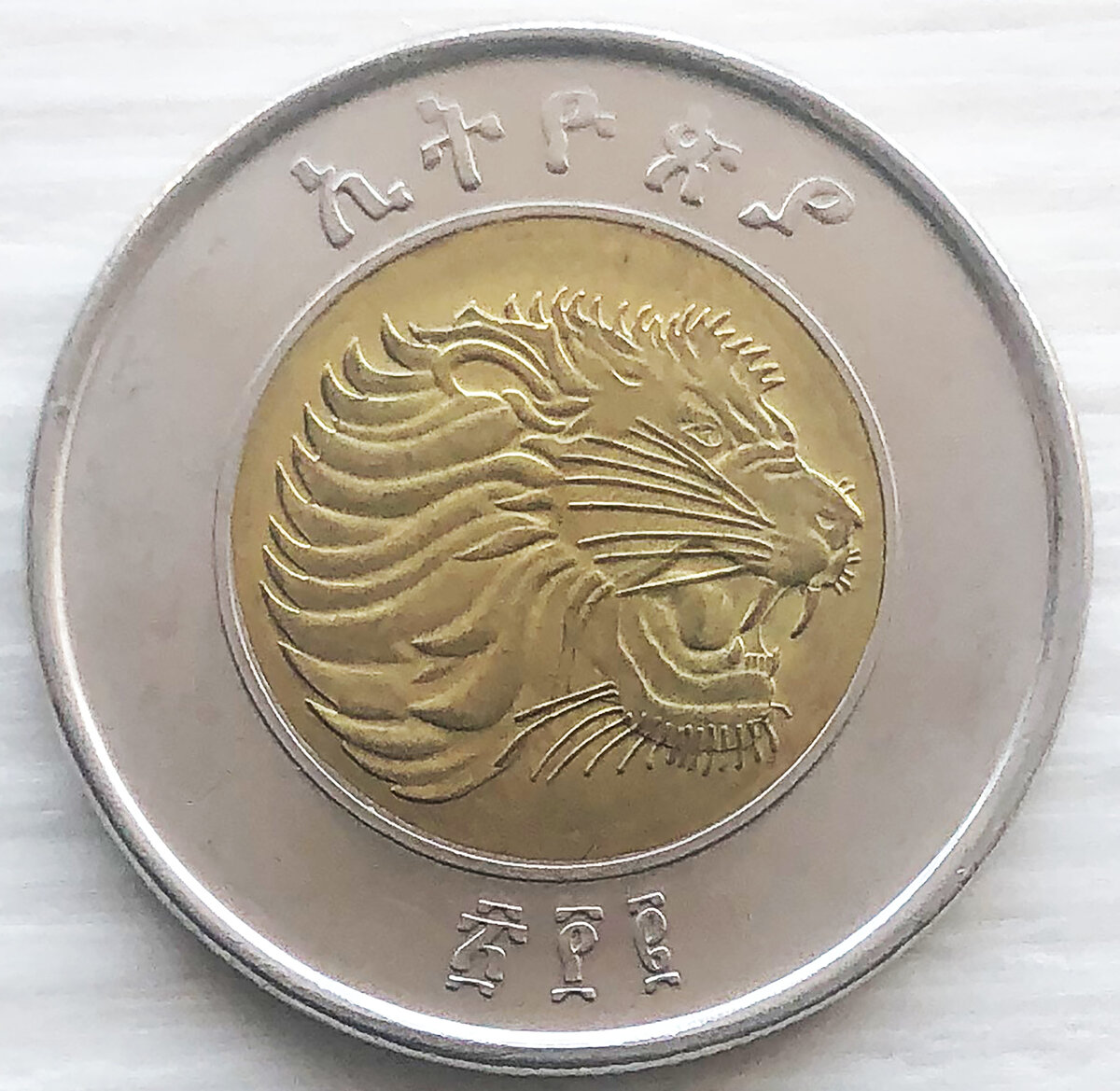 Золотая монета юар большая пятерка. Монет лев. Золотая монета лев. Монет лев. Старая монета со львом.