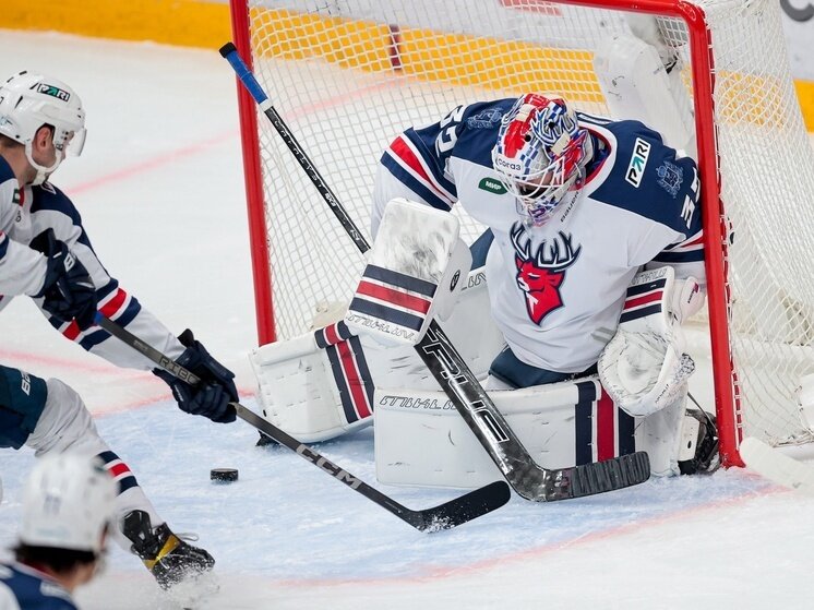     ХК "Торпедо" (Нижегородская область)