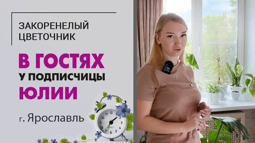 Download Video: В гостях у подписчицы Юлии. Город Ярославль. Монстеры, фикусы, цветущая сансевиерия и орхидеи