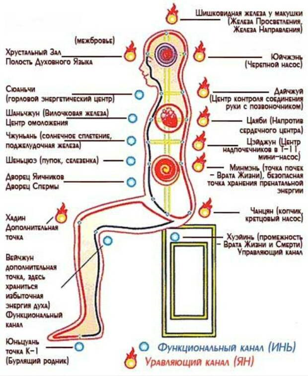 Аддизоа, Чарак (Addyzoa Capsules, Charak), 20 капсул - лечения мужского бесплодия