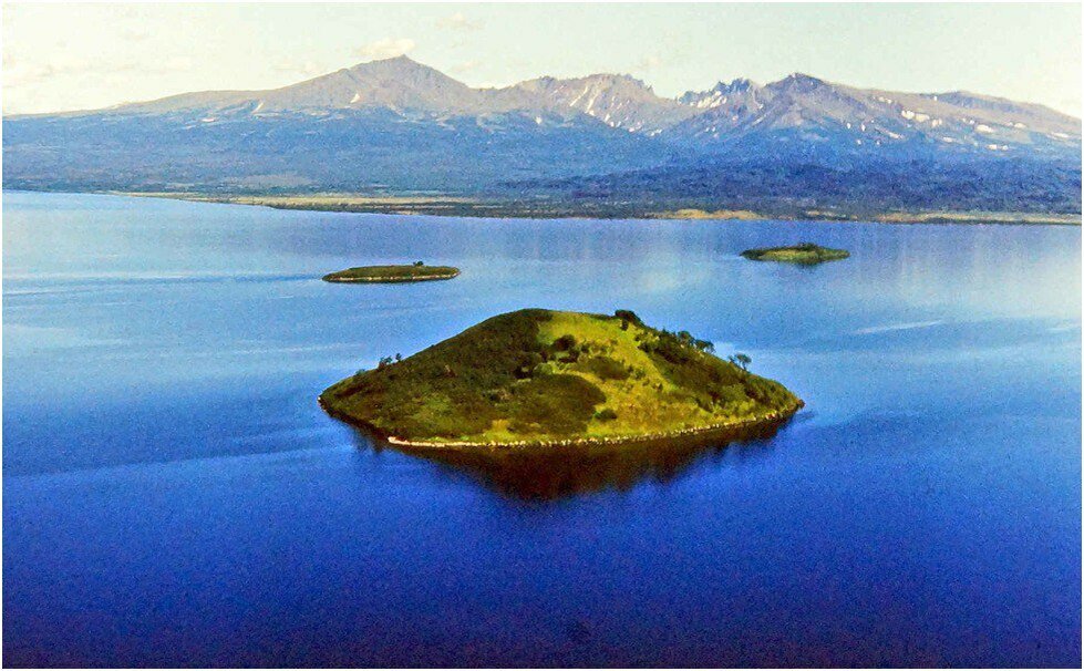 На востоке озеро Кроноцкое усыпано небольшими островками, где проживают колонии тихоокеанских чаек. Фото: Andrey M. / Яндекс Карты