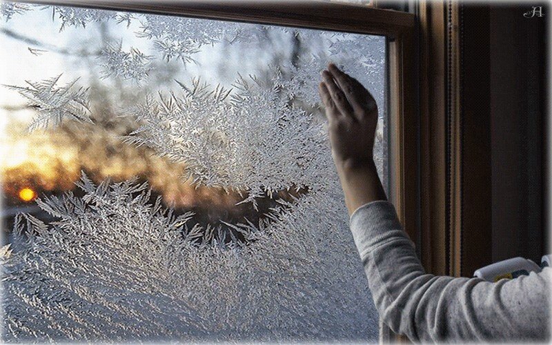 Картинка из источника в свободном доступе