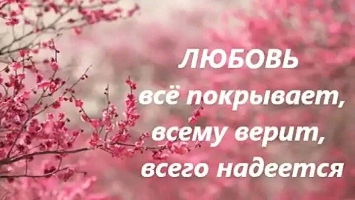 картинка из свободных истоников