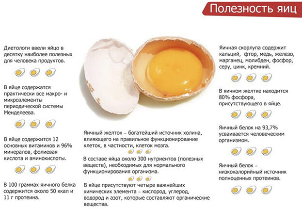 Польза яиц.
