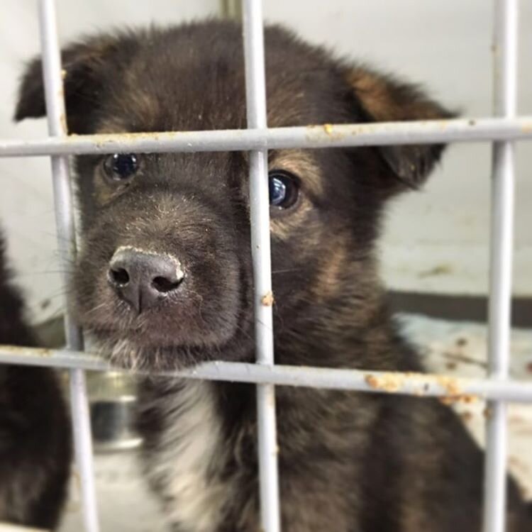 Фото с fotoxcom.ru для примера