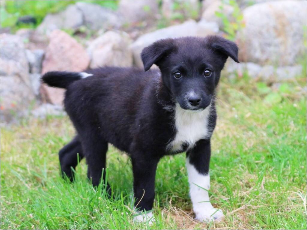 Фото с catalog-photo.ru для примера