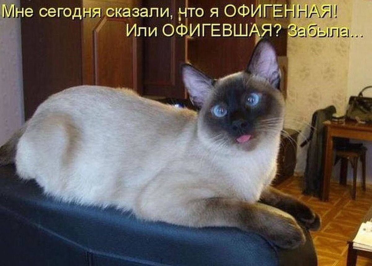 источник Яндекс-картинки))))