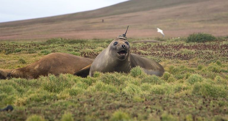 Источник: фото из интернета