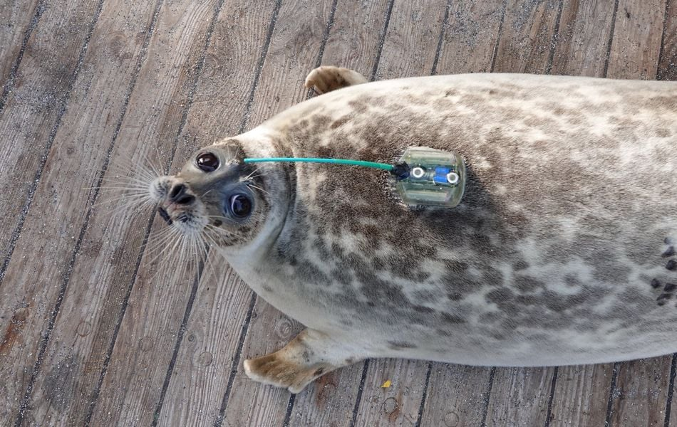 Источник: фото из интернета