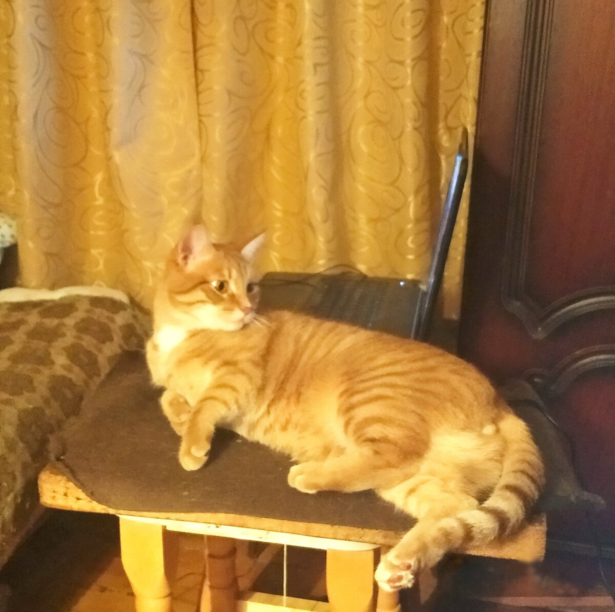 Личное  фото