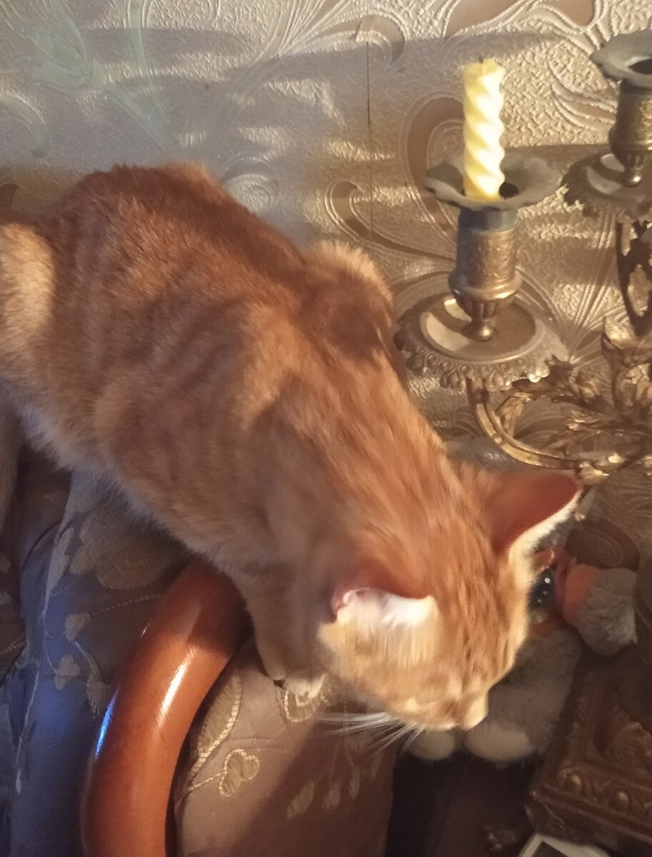 Личное  фото