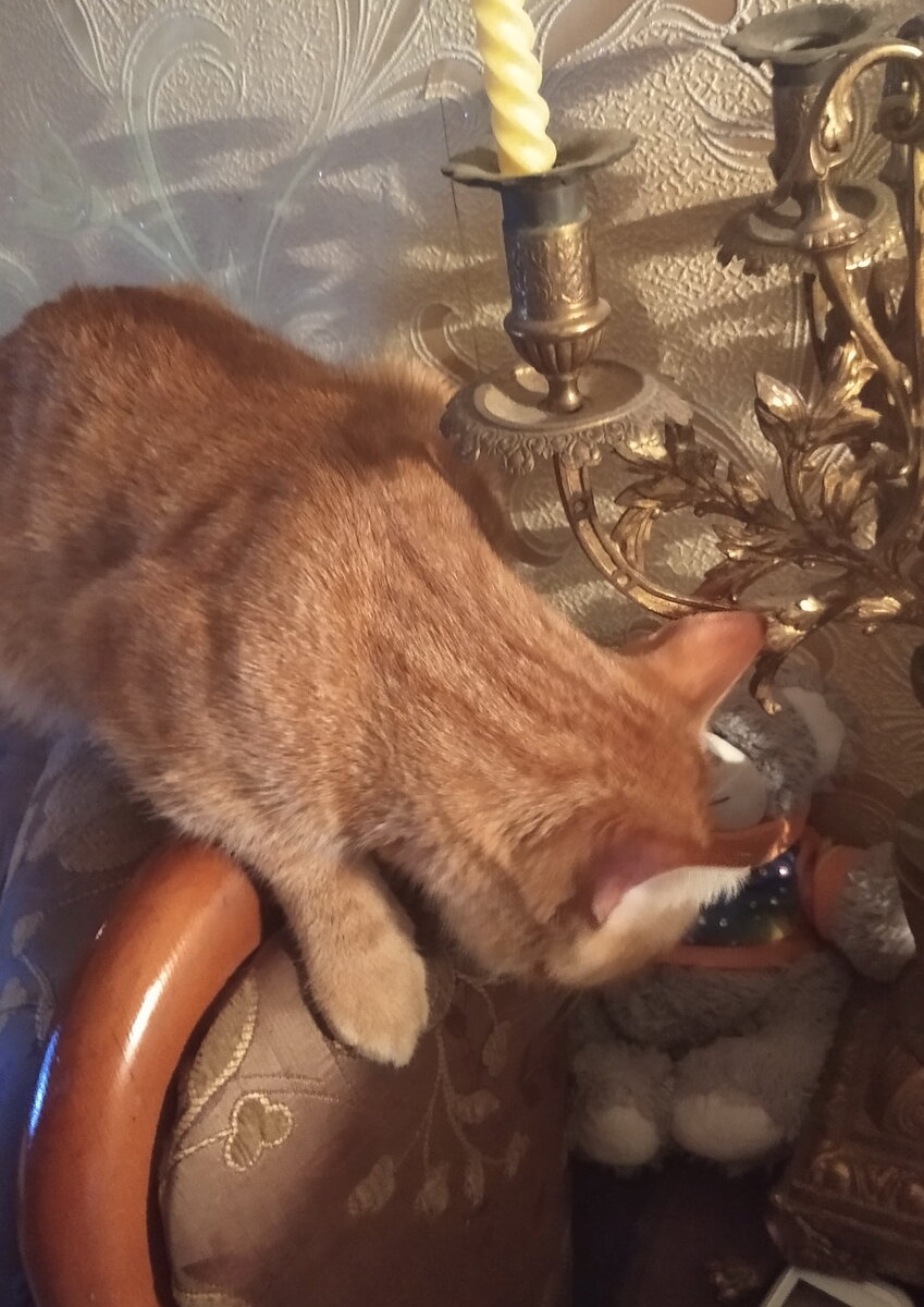 Личное  фото