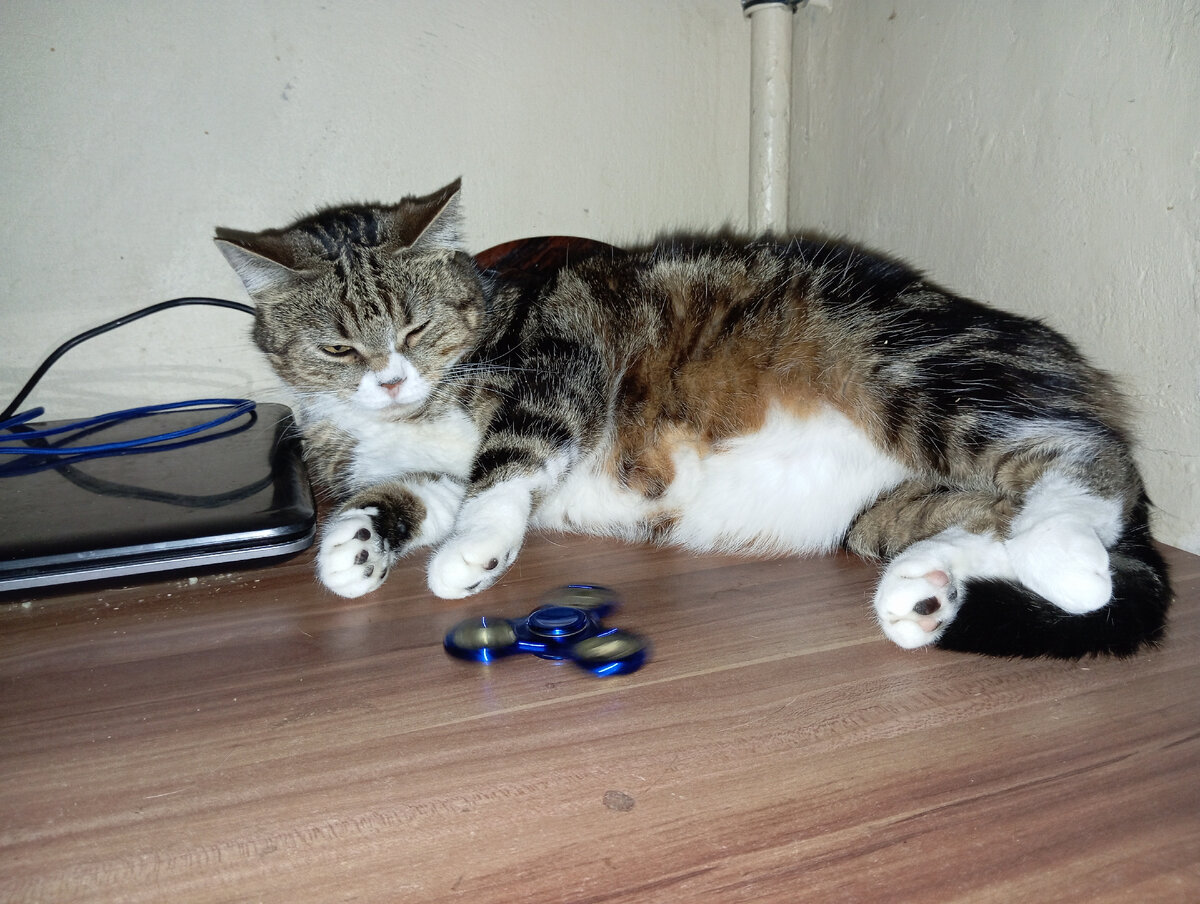 Смотрит как крутится спиннер