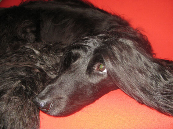 Степан два года спустя