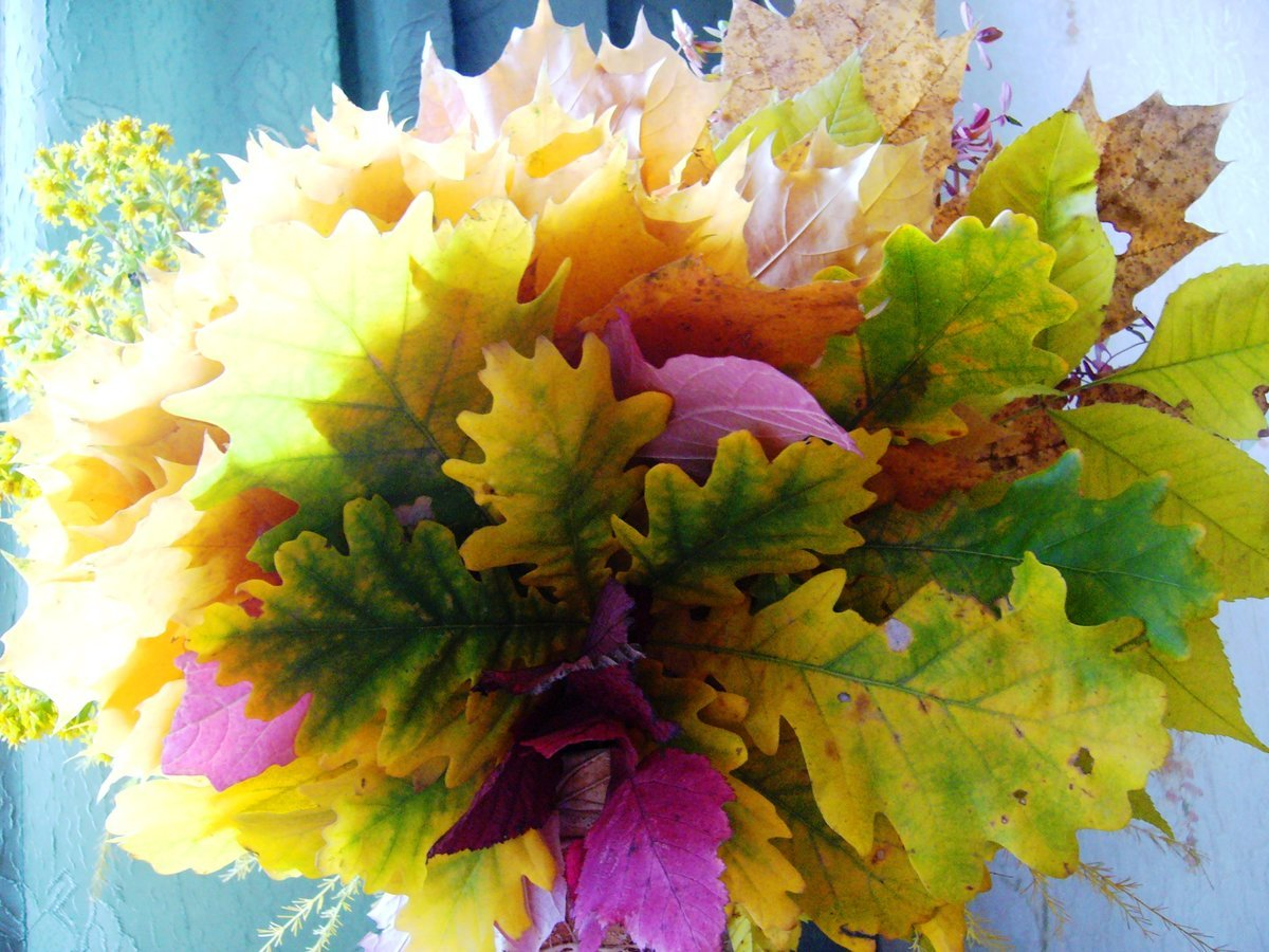 Букет из осенних листьев. Фото с сайта na-dache.pro