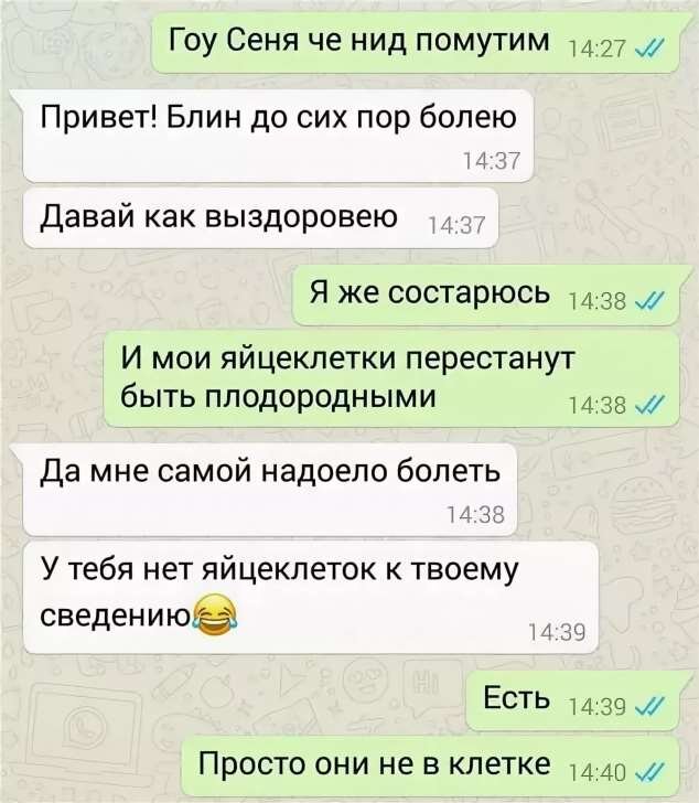 Whatsapp привет. Смешные переписки вотцапе. Смешные вацап переписки. Приколы по переписке в ватсапе. Прикольные переписки в WHATSAPP.