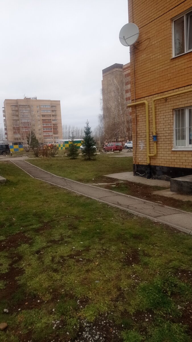 У нас всё растаяло, и снова плюсовая температура. 