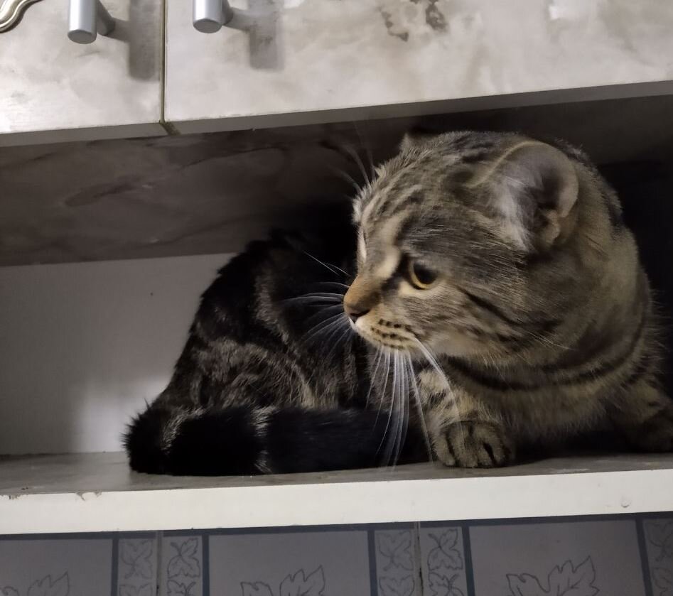 Ну, а ты-то куда? 