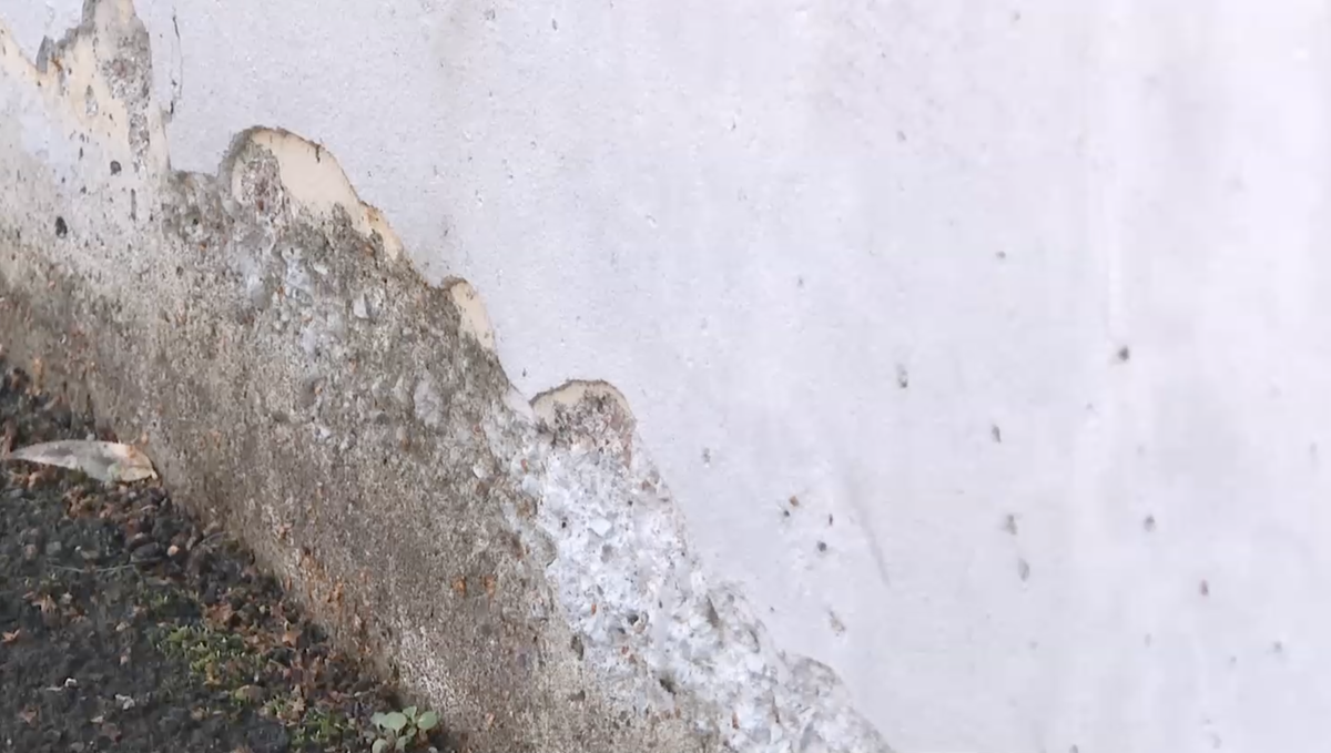 Скрин с сайта ЛенТВ24