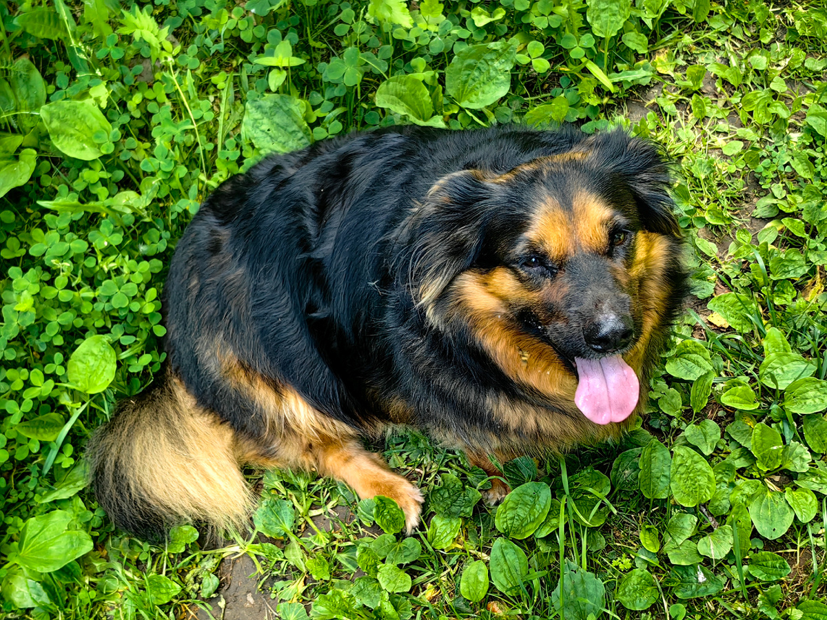 Фото автора