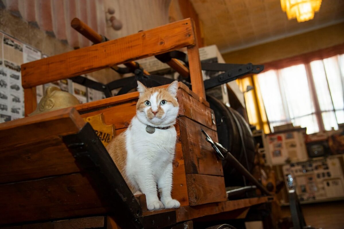 Забрался на первую пожарную “машину”.