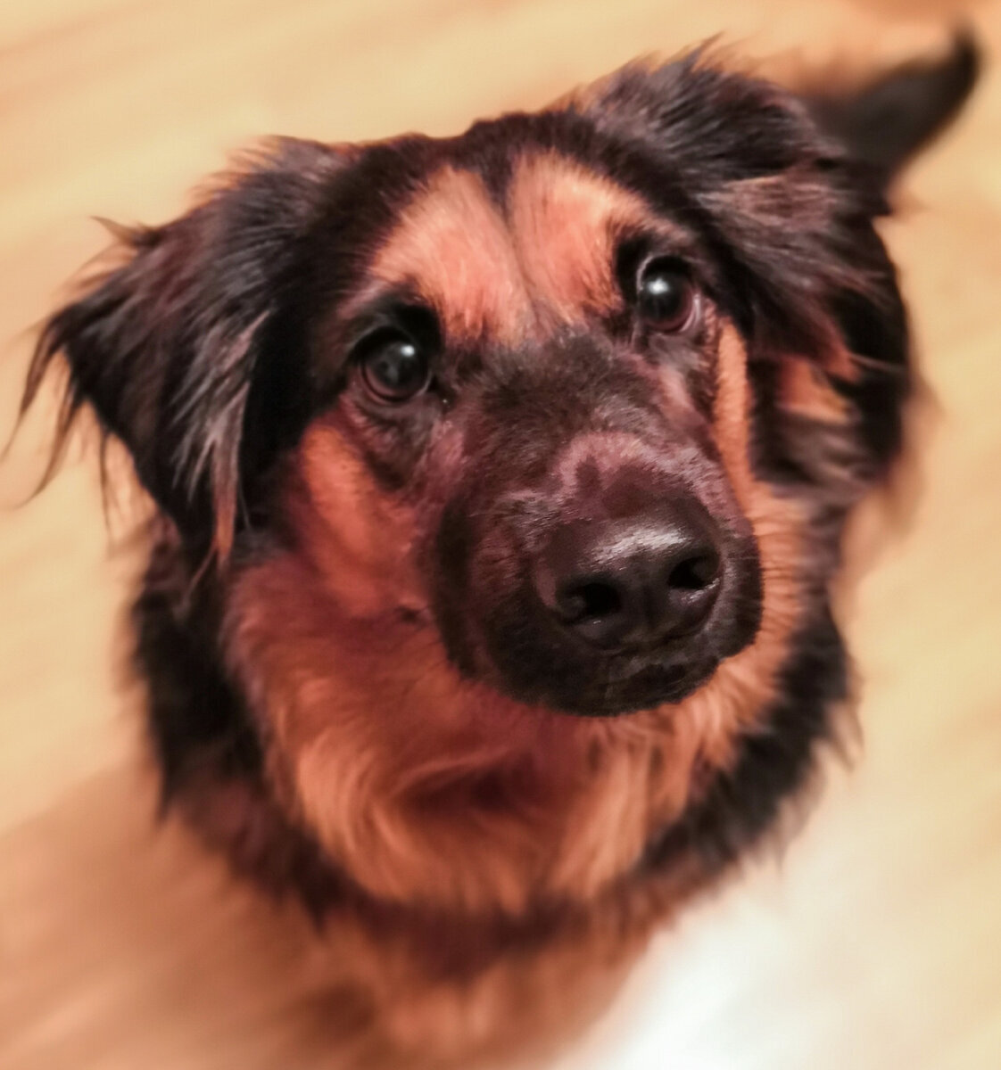 Ну, какой ты Алик? Ты же атаман Степан!