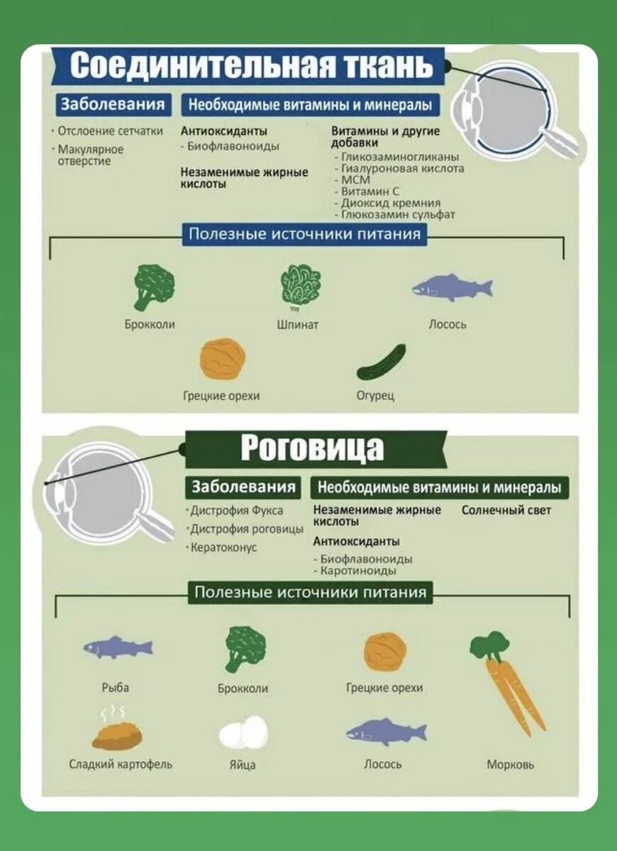 Еда полезная для глаз. Часть 2. Секрет хорошего зрения в двух словах . |  Офтальмолог-Краснодар | Дзен