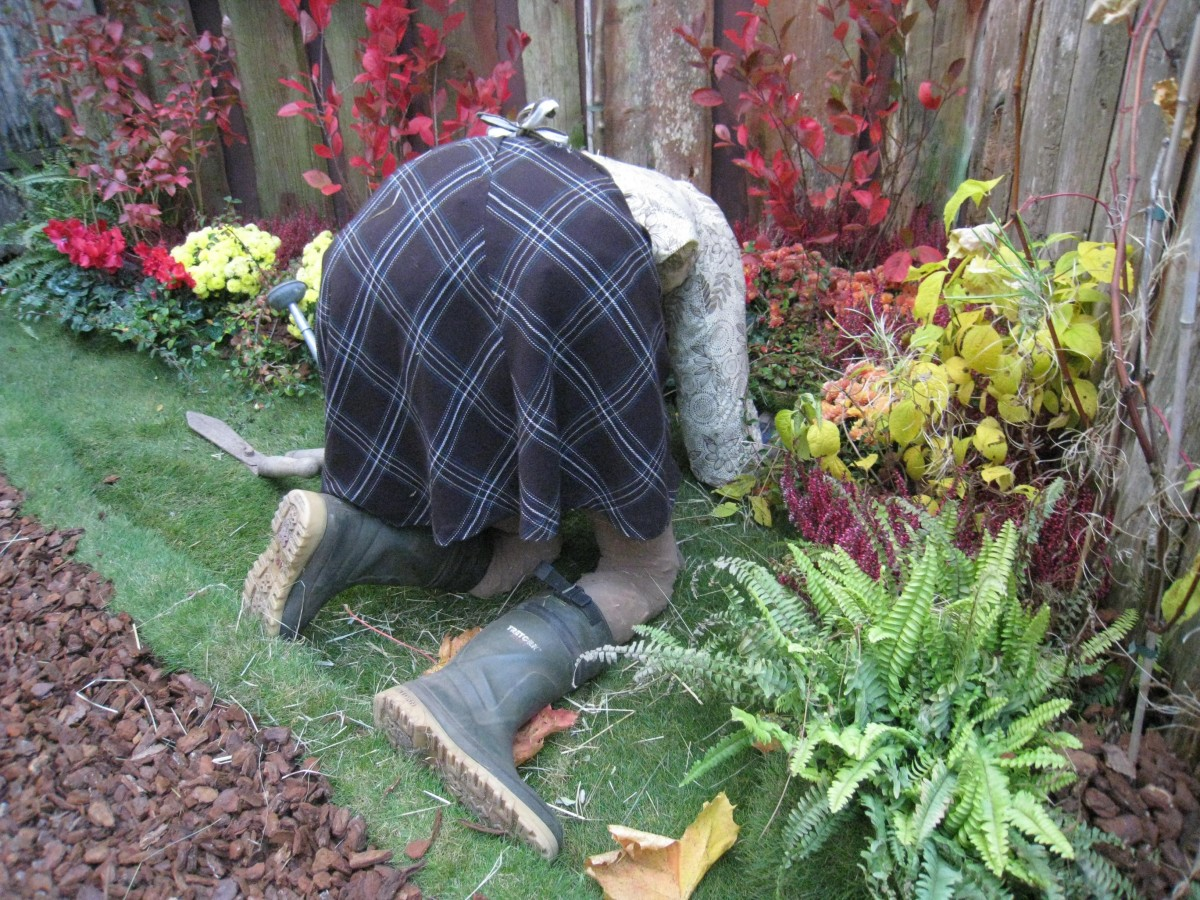 из свободного доступа