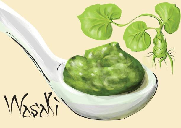https://media.istockphoto.com/vectors/wasabi-vector-id694619878?k=6&m=694619878&s=612x612&w=0&h=j9sPh4bMUoadVdwm8ldXLBNW2gRursOhxBxXsfok46g=