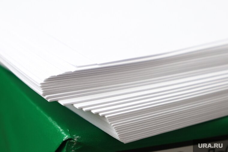    Экзотическое растение мискантус используется при производстве бумаги