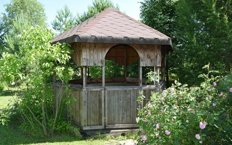 Яндекс картинки