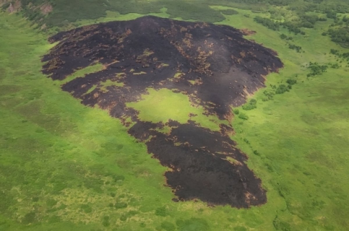    На Камчатке произошло 34 лесных пожара на площади свыше 16 тысяч гектаров