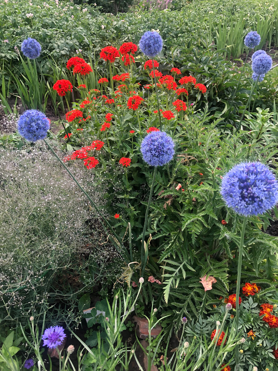 Все фото автора.