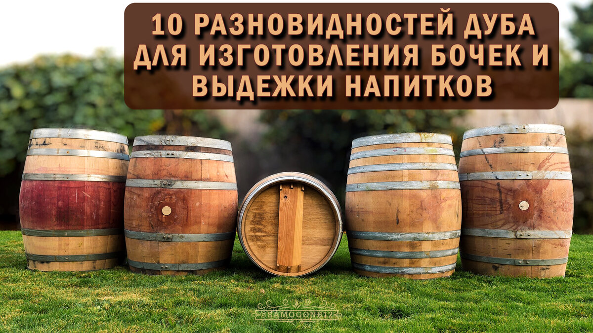 Инструкция по подготовке и эксплуатации дубовых бочек в Санкт-Петербурге - интернет-магазин МирБир