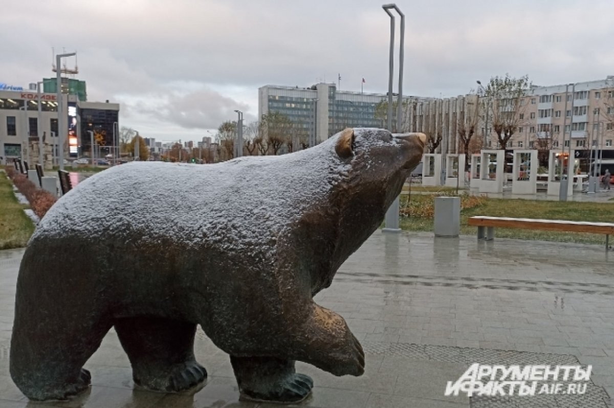    На неделе в Пермском крае ожидается ледяной дождь и потепление до +9º