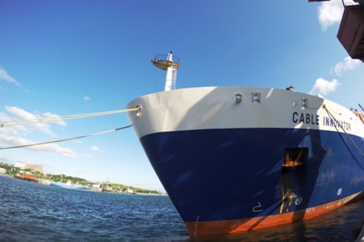    В Финском заливе ремонтируют поврежденный российский кабель связи