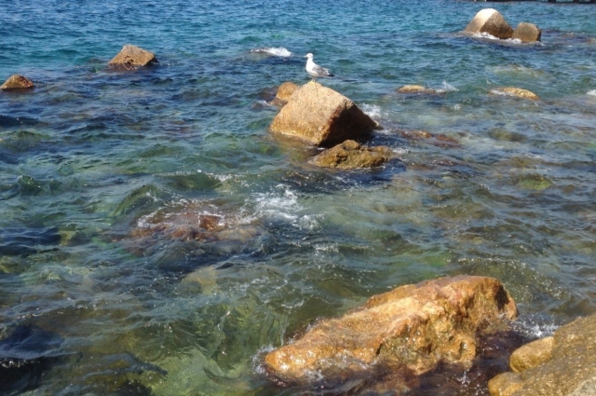    В Севастополе обломки БПЛА упали на крышу частного дома